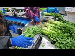 Snack Biskuit Mesin pengemasan bantal Mesin pengemasan otomatis