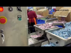 Selamat datang untuk menonton proses operasi yang efisien dari mesin kemasan kantong.