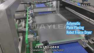 Pengering Beku Robot Penempatan Pelat Otomatis