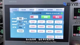 Mesin Pengemas Kantong Cair Cepat WG250