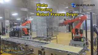 Mesin Pengemas Pengering Beku Robot Penempatan Pelat Otomatis