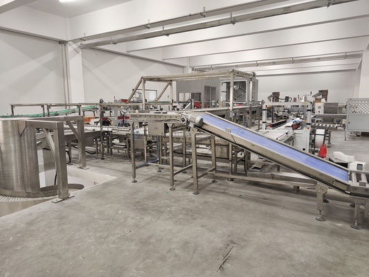 Automatic Case Erector & Sealer Line Tape Sealing untuk Kotak Bergelombang 15-25 Cases/Min