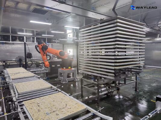 Robot Penempatan Pelat Otomatis Efisiensi Tinggi yang Disesuaikan untuk Lini Produksi Pengering Beku